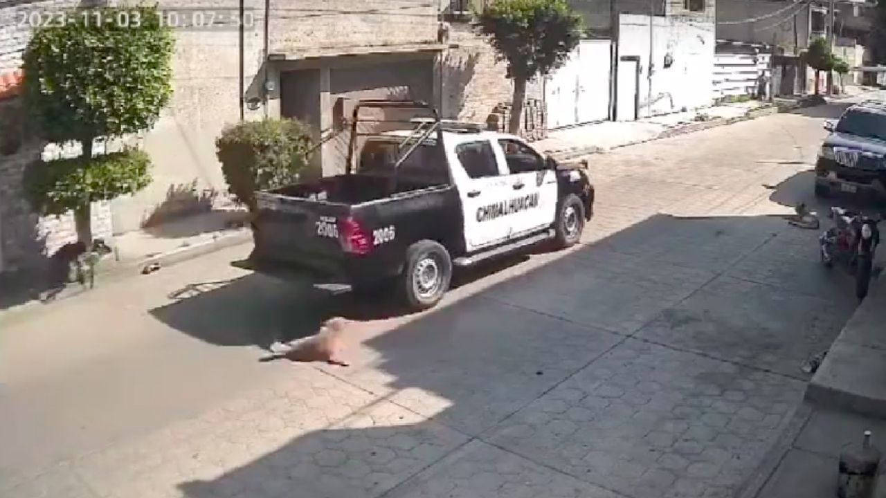 perrito chimalhuacan patrulla policias