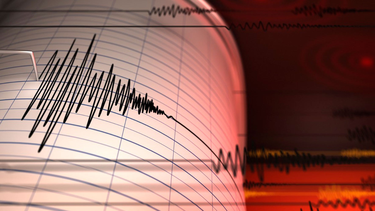 escenas alternas sismo