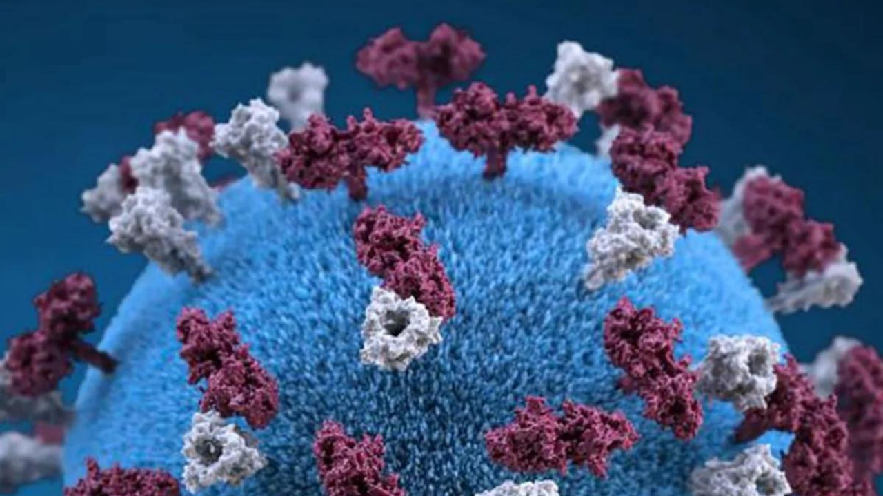 UNAM alerta por brote de sarampión en México: Cómo se contagia y síntomas