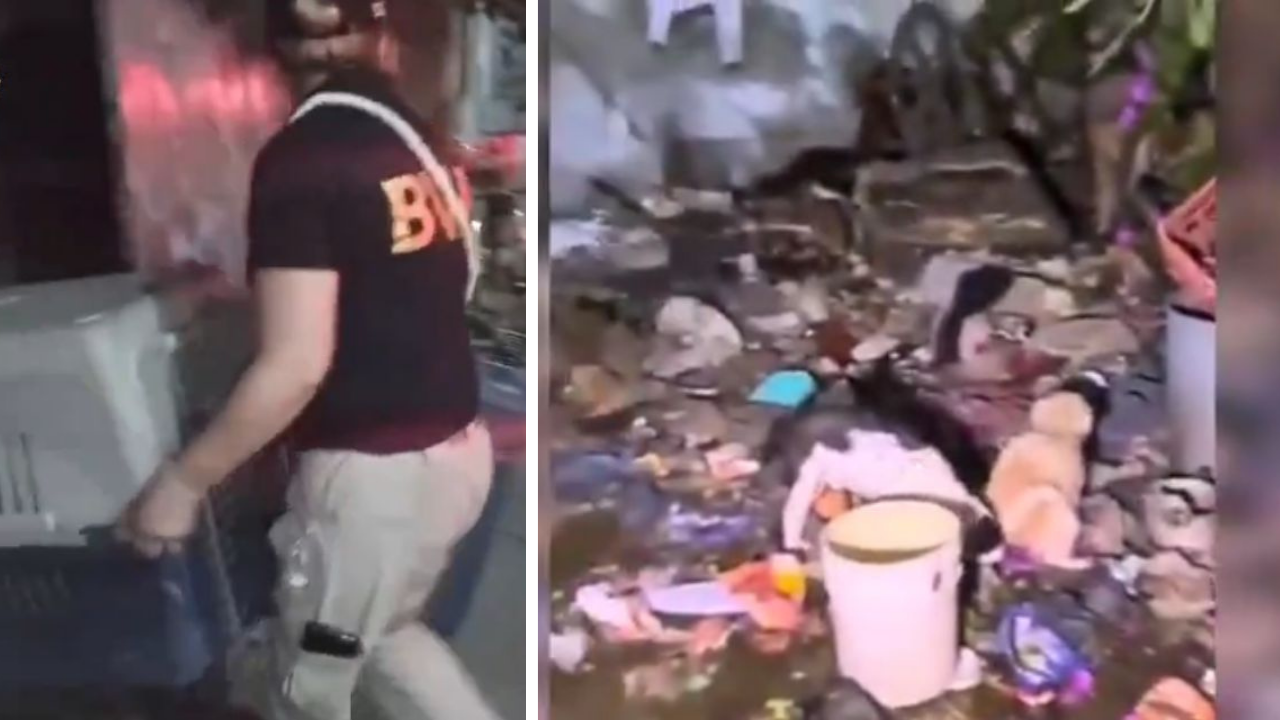 (Video) Rescatan a 17 perritos que vivían en malas condiciones