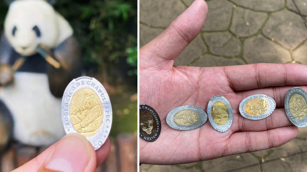 ¡Monedas conmemorativas! La nueva atracción del Zoológico de Chapultepec