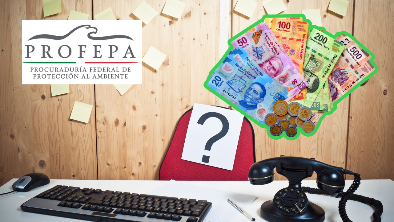 Estos son los requisitos para la vacante de 63 mil pesos de la Profepa