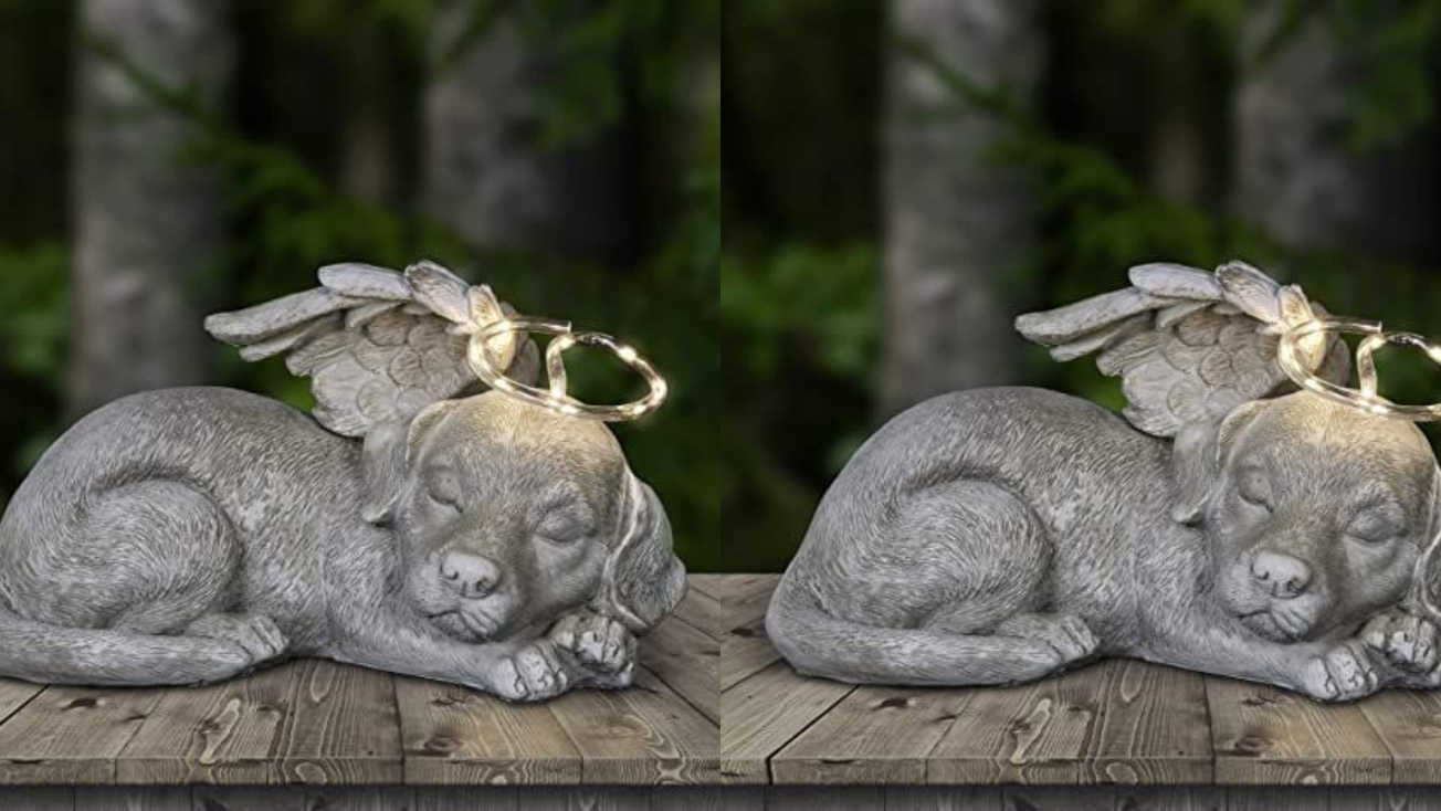 Para llevarles flores: Proponen construir cementerio de mascotas en CDMX