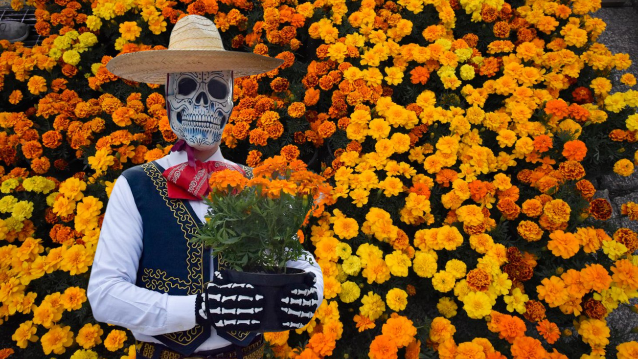 Vuelven para vivir: la experiencia GRATIS de Día de Muertos en CDMX