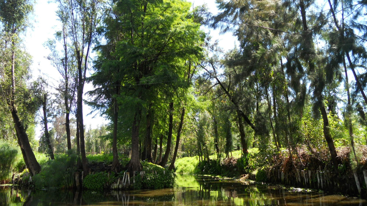Xochimilco.