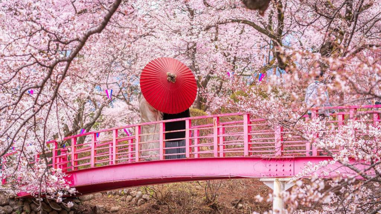 Festival japonés de primavera 2025 en CDMX