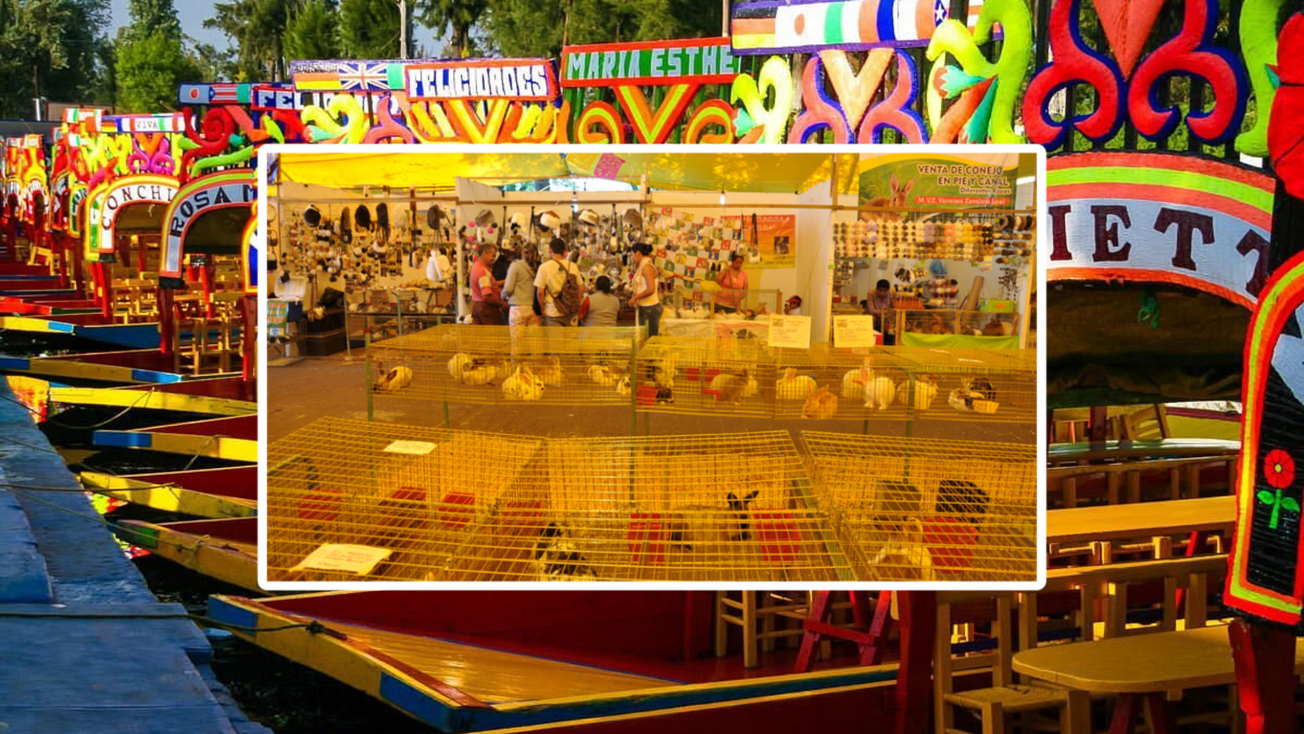 Feria Regional del Conejo en Xochimilco: fechas y actividades