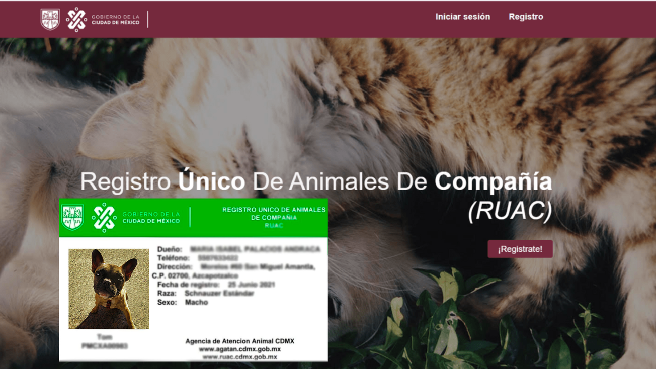 ¿Es cierto que hay multas para quienes no registraron en el RUAC a sus mascotas?